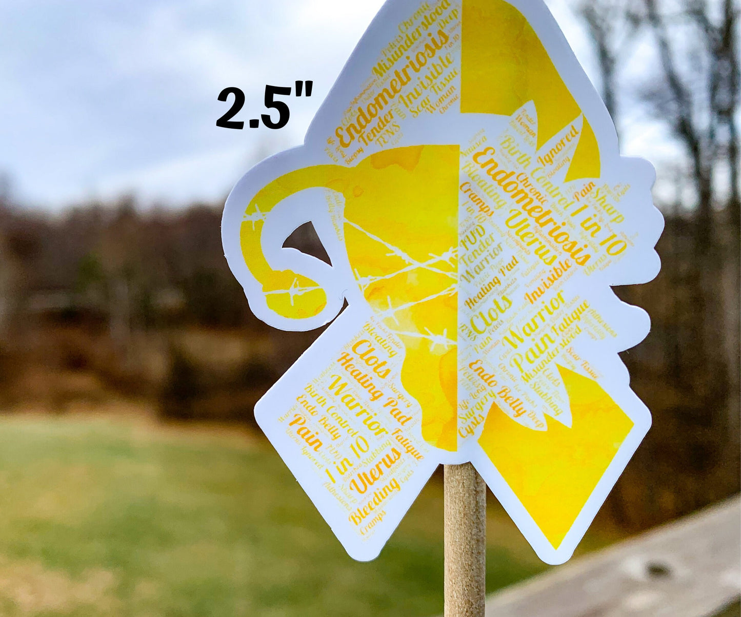 The 2.5 inch word cloud ribbon is shown, some of the smaller words are harder to see but many of the words are visible. Words like Endometriosis, Invisible, Soft Tissue, Misunderstood, Endo Belly, 1 in 10, Clots, Cramps, and more.