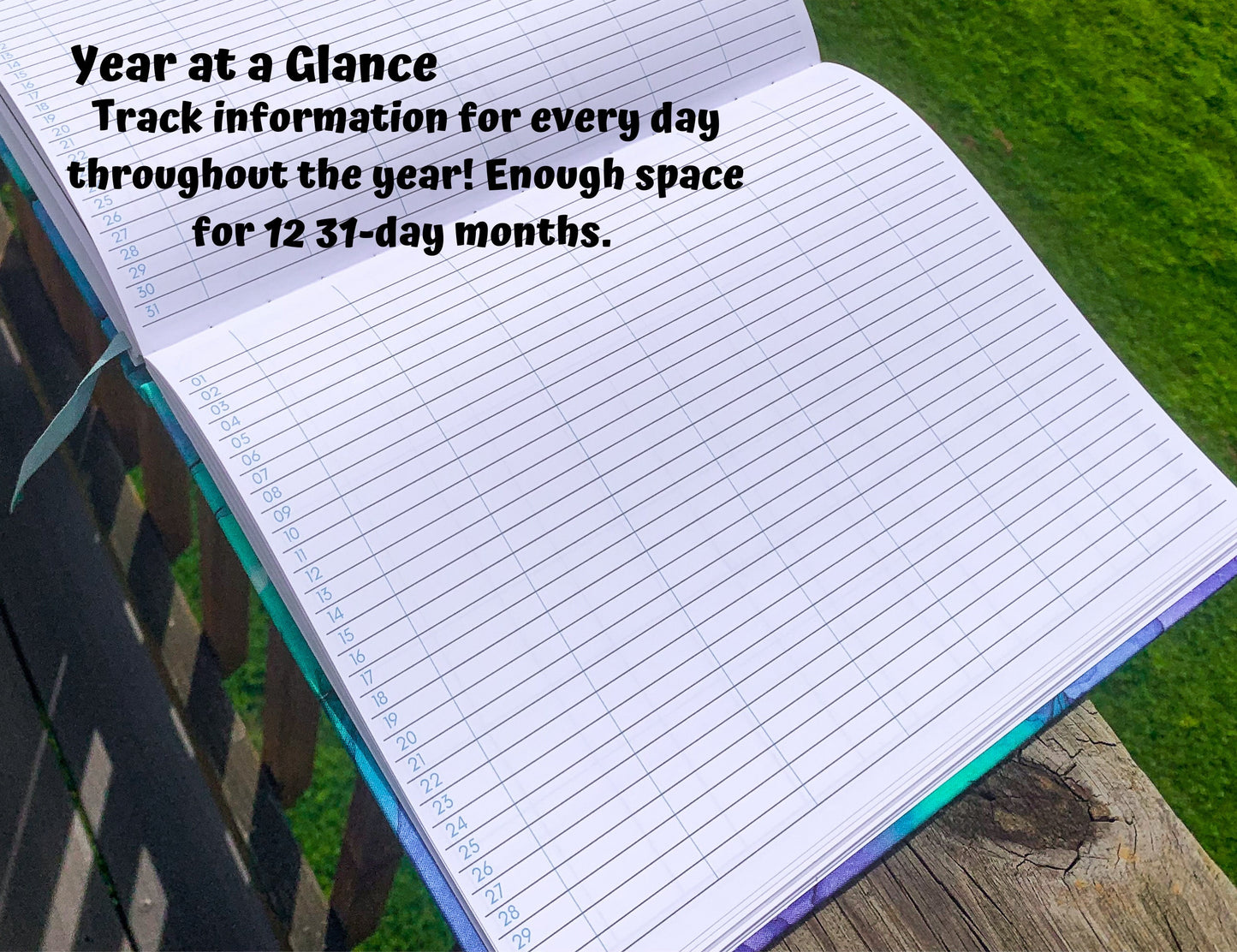Year at a glance is shown. It is part of the back logging area. 2 pages have rows labeled 1 through 31. There are 7 blank columns. A note explains it can track information for every day throughout the year. Enough space for 12 31 day months.